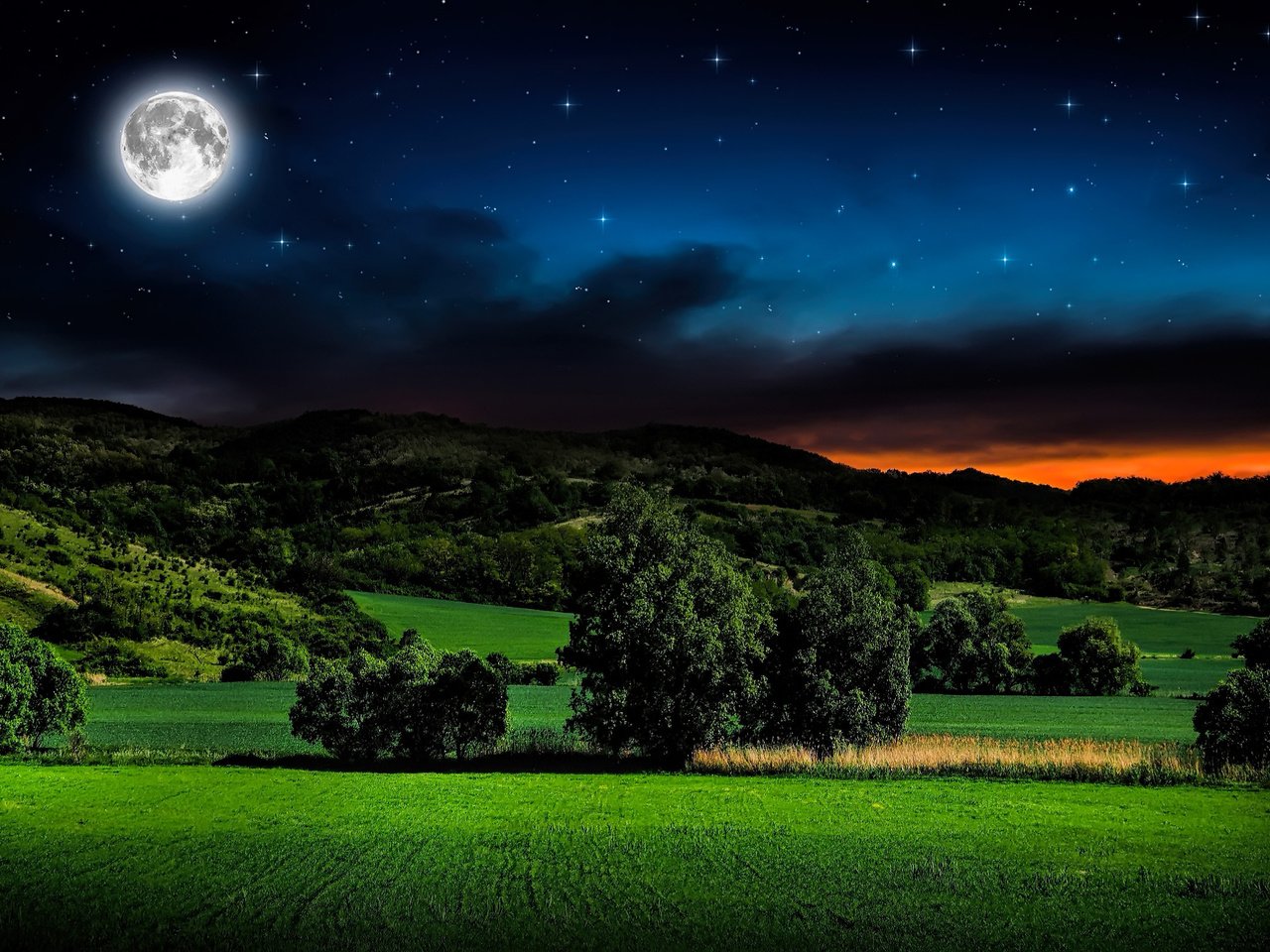 Обои небо, трава, ночь, горы, звезды, поле, горизонт, луна, the sky, grass, night, mountains, stars, field, horizon, the moon разрешение 2560x1600 Загрузить