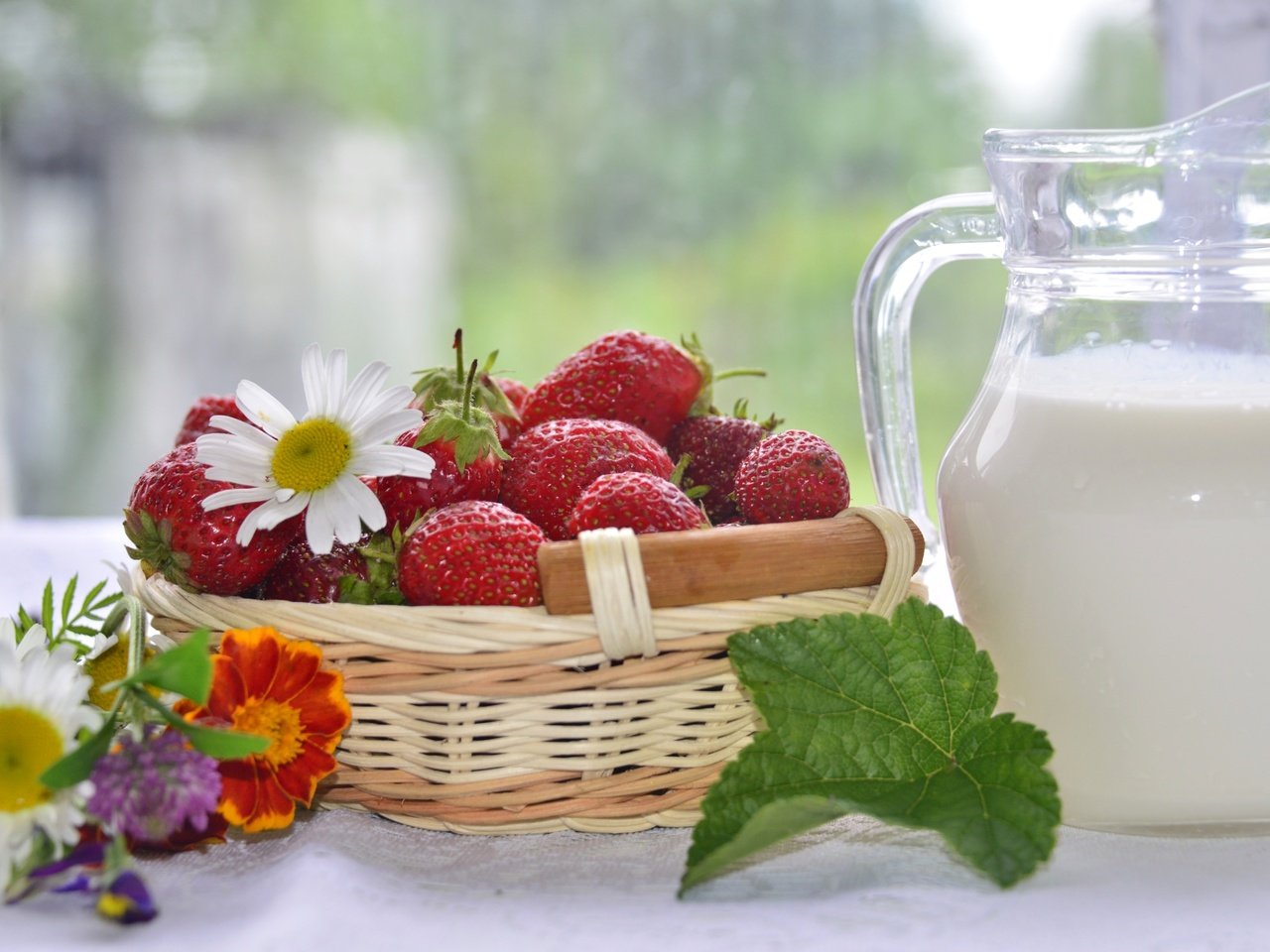 Обои цветы, клубника, ромашки, ягоды, молоко, flowers, strawberry, chamomile, berries, milk разрешение 3000x1919 Загрузить