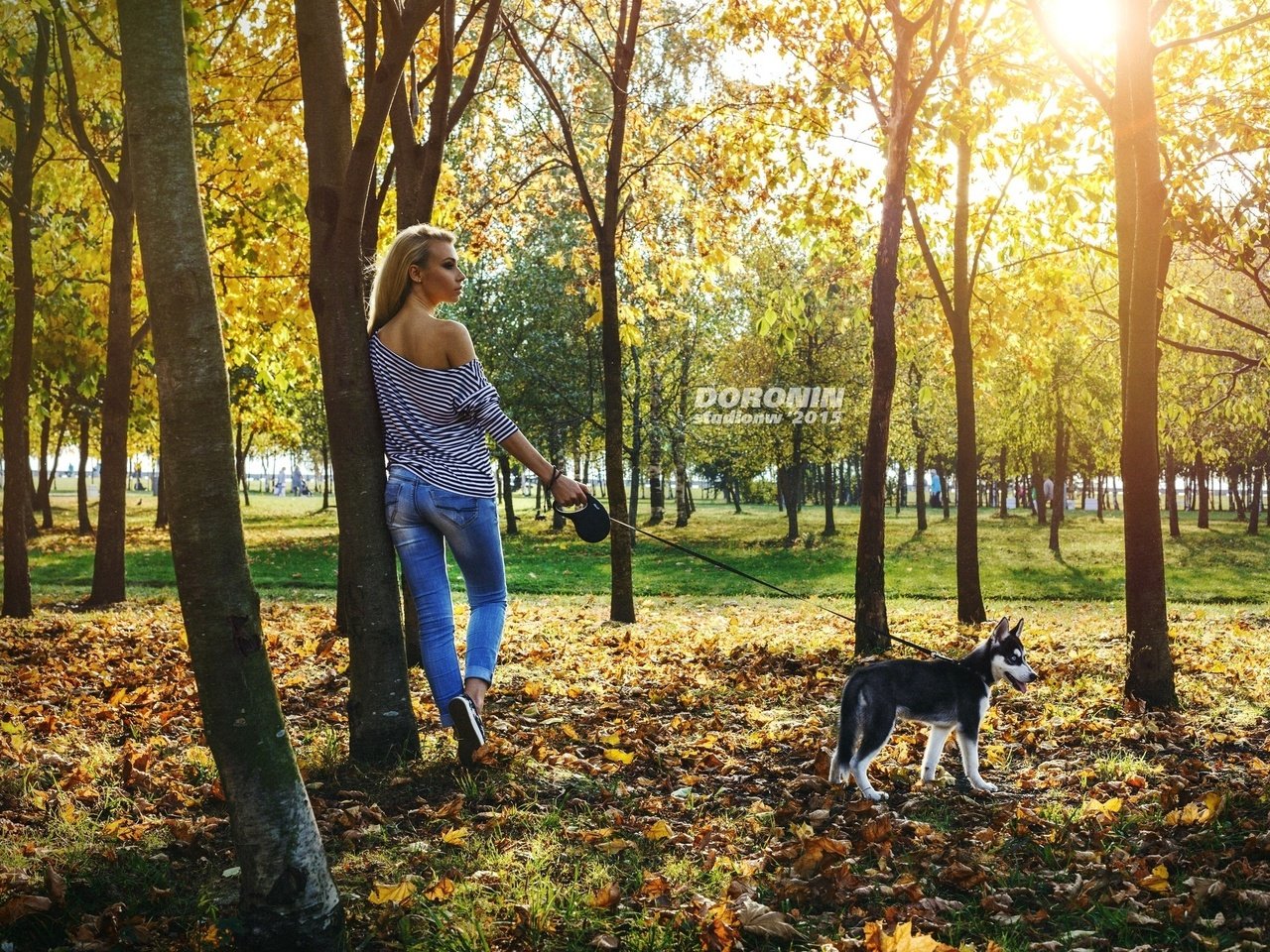 Обои деревья, фотограф, собаку, солнце, хаски, листья, прическа, фигура, девушка, майка, парк, поводок, блондинка, тельняшка, осень, denis doronin, джинсы, выгуливает, walks, trees, photographer, the dog, the sun, husky, hairstyle, leaves, figure, girl, mike, park, leash, blonde, vest, autumn, jeans разрешение 2560x1680 Загрузить