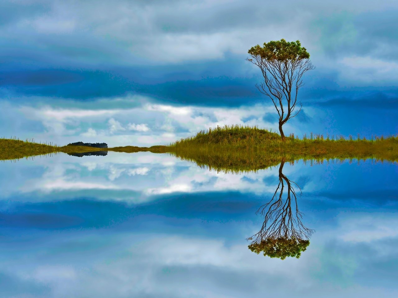 Отражение деревьев в воде