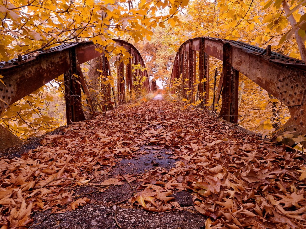 Обои деревья, листья, парк, мост, осень, trees, leaves, park, bridge, autumn разрешение 1920x1246 Загрузить