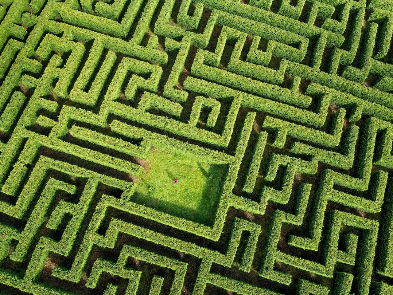 Обои зелень, растения, лабиринт, человек, greens, plants, maze, people разрешение 4320x2592 Загрузить