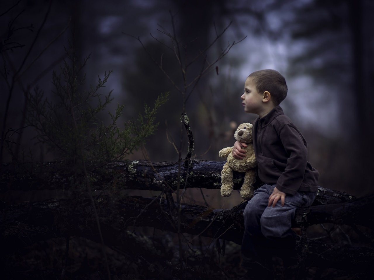 Обои лес, дети, мишка, игрушка, профиль, лицо, мальчик, forest, children, bear, toy, profile, face, boy разрешение 2048x1365 Загрузить