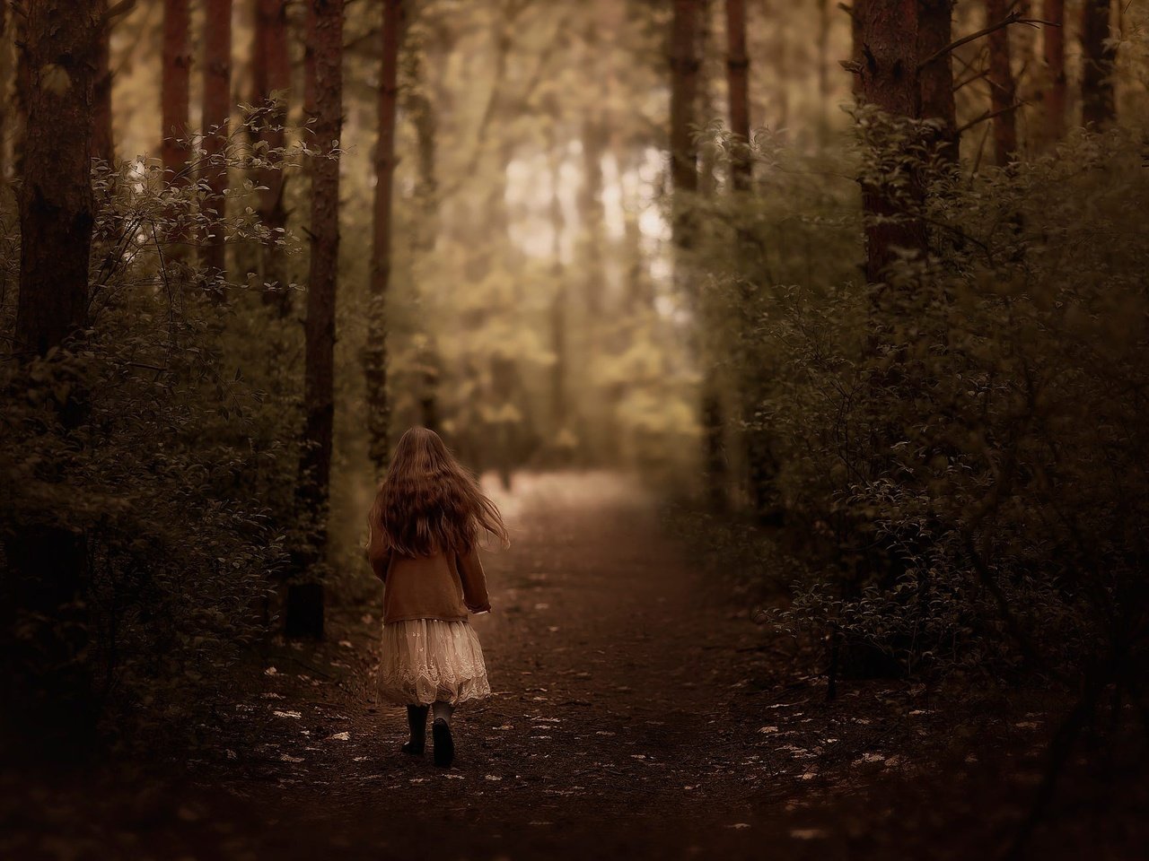 Обои дорога, лес, девочка, волосы, прогулка, road, forest, girl, hair, walk разрешение 2000x1333 Загрузить