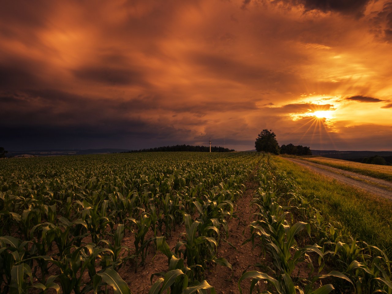 Обои небо, дорога, закат, поле, горизонт, lena held, the sky, road, sunset, field, horizon разрешение 5472x3648 Загрузить