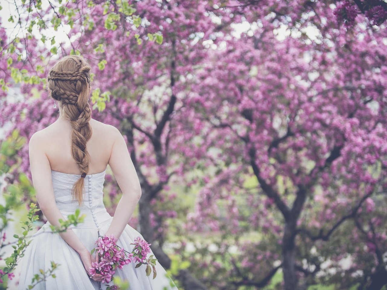 Обои цветение, весна, прическа, белое платье, невеста, спиной, голые плечи, flowering, spring, hairstyle, white dress, the bride, back, bare shoulders разрешение 5760x3840 Загрузить