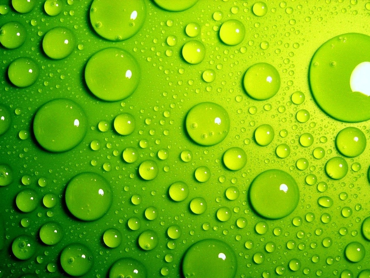 Обои зелёный, фон, капли, цвет, капли воды, green, background, drops, color, water drops разрешение 1920x1200 Загрузить