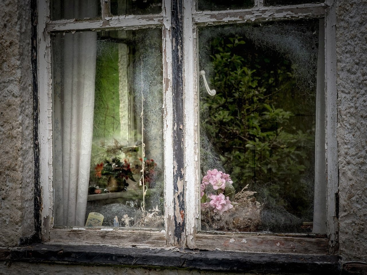 Обои цветы, отражение, дом, окно, стекло, flowers, reflection, house, window, glass разрешение 2035x1351 Загрузить
