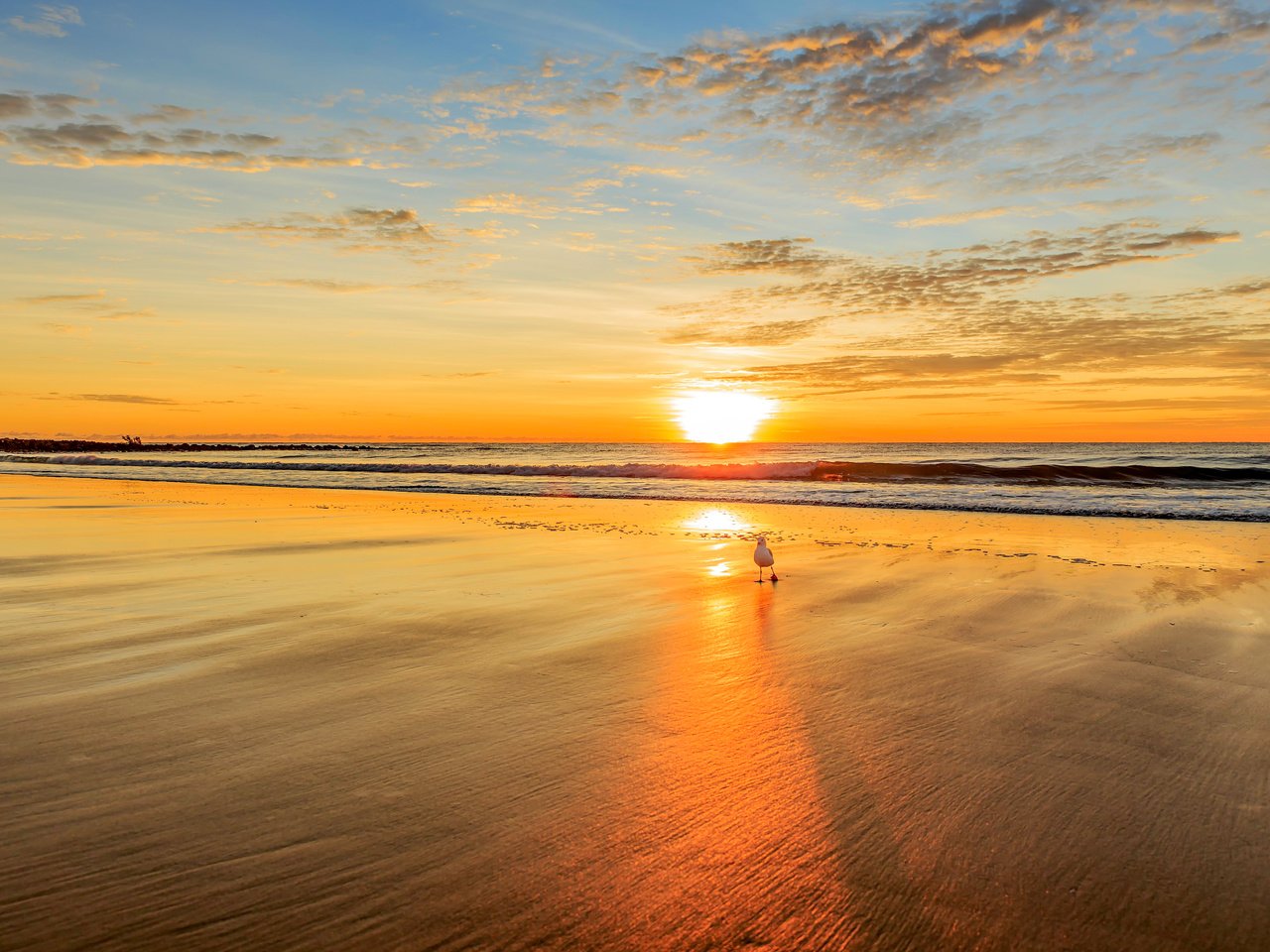 Обои закат, море, пляж, чайка, 14, sunset, sea, beach, seagull разрешение 5426x3593 Загрузить