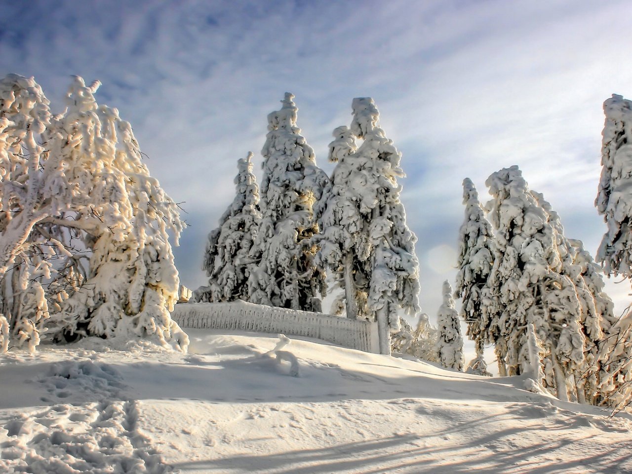 Обои небо, облака, деревья, снег, природа, лес, зима, следы, the sky, clouds, trees, snow, nature, forest, winter, traces разрешение 1920x1200 Загрузить