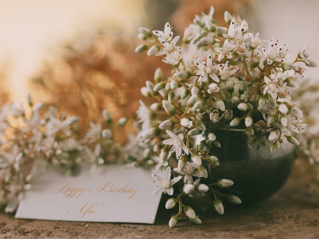 Обои цветы, открытка, поздравления, с днем ​​рождения, flowers, postcard, congratulations, happy birthday разрешение 2048x1229 Загрузить