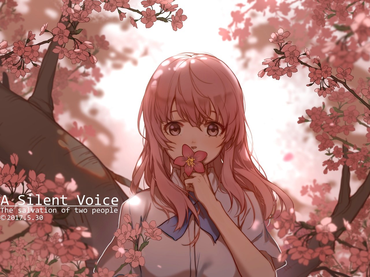 Обои девушка, взгляд, волосы, лицо, cherry blossom, розовые волосы, nishimiya shouko, koe no katachi, girl, look, hair, face, pink hair разрешение 4961x3508 Загрузить