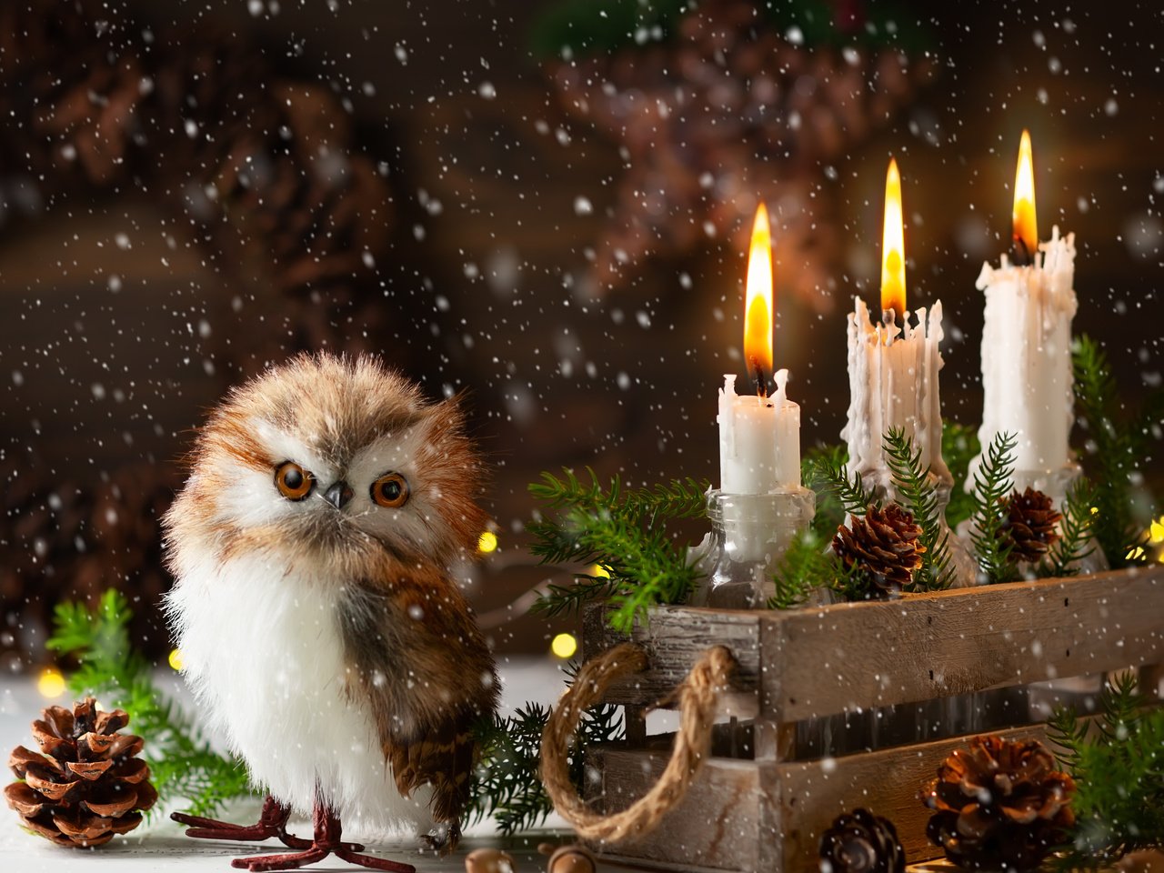 Обои птица, сова, праздник, снег, рождество, свечи, новый год, шишки, елка, ящик, хвоя, совенок, ветки, композиция, игрушка, bird, owl, holiday, snow, christmas, candles, new year, bumps, tree, box, needles, owlet, branches, composition, toy разрешение 4192x3356 Загрузить