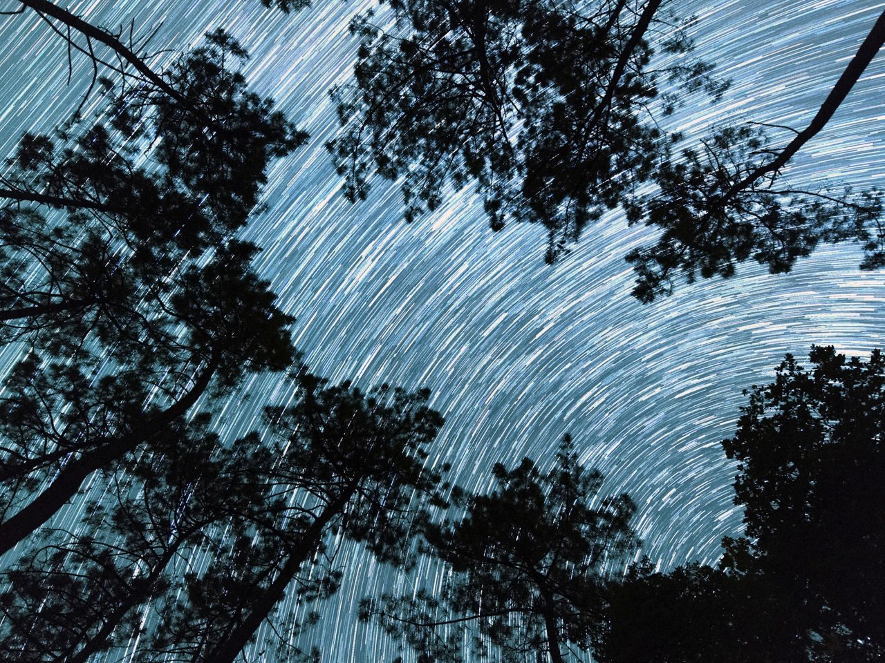 Обои деревья, звезды, франция, trees, stars, france разрешение 5400x3038 Загрузить