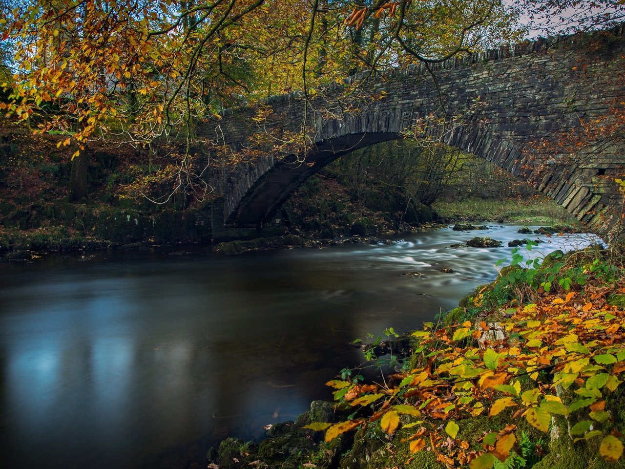 Обои река, листья, ветки, мост, осень, англия, lake district, камбрия, river, leaves, branches, bridge, autumn, england, cumbria разрешение 2048x1148 Загрузить