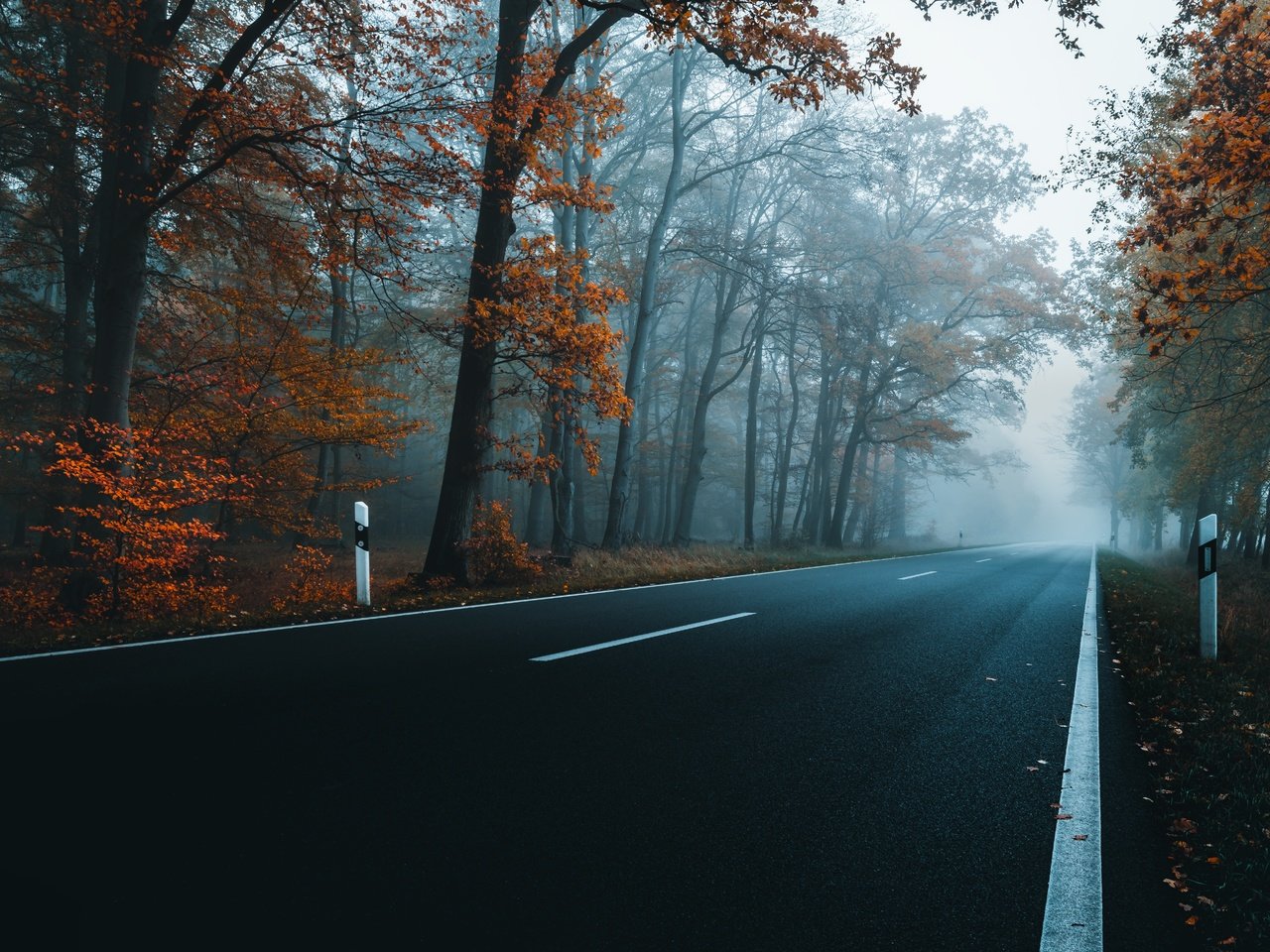 Обои дорога, деревья, осень, шоссе, road, trees, autumn, highway разрешение 6000x3809 Загрузить