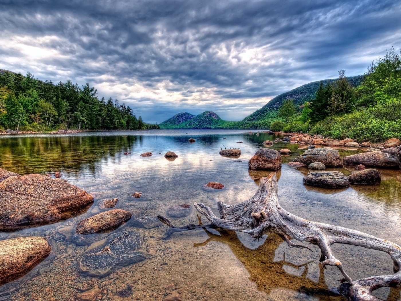 Обои озеро, камни, корень, коряга, lake, stones, root, snag разрешение 2560x1600 Загрузить