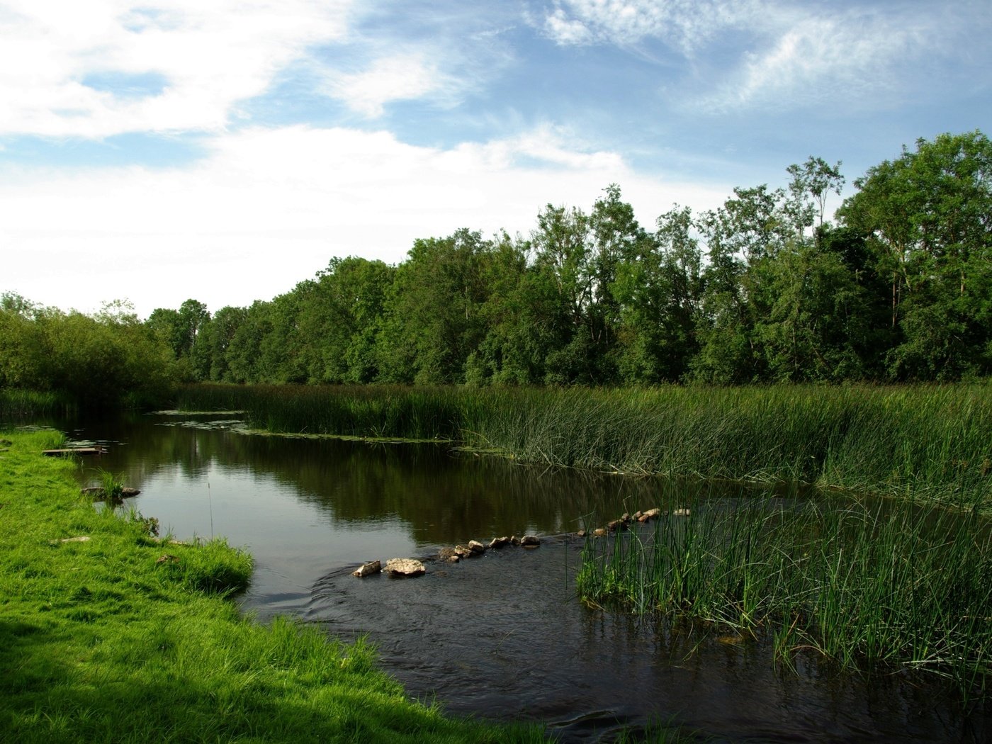 Обои река, луг, перекат, river, meadow, roll разрешение 3000x2000 Загрузить