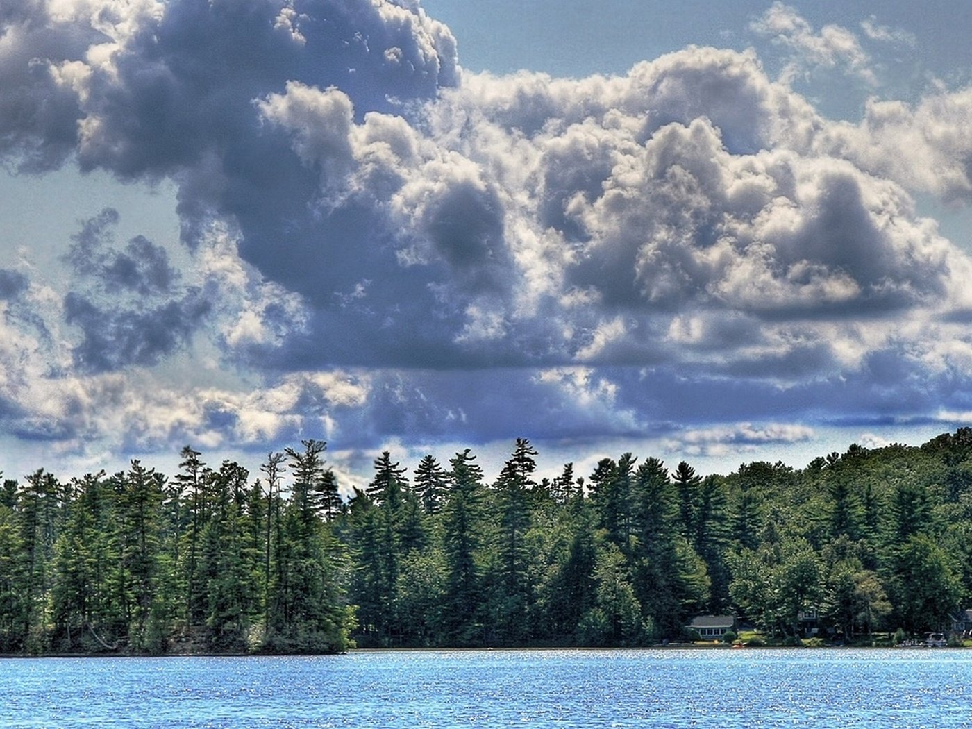 Обои небо, облака, река, лес, ель, the sky, clouds, river, forest, spruce разрешение 1920x1080 Загрузить