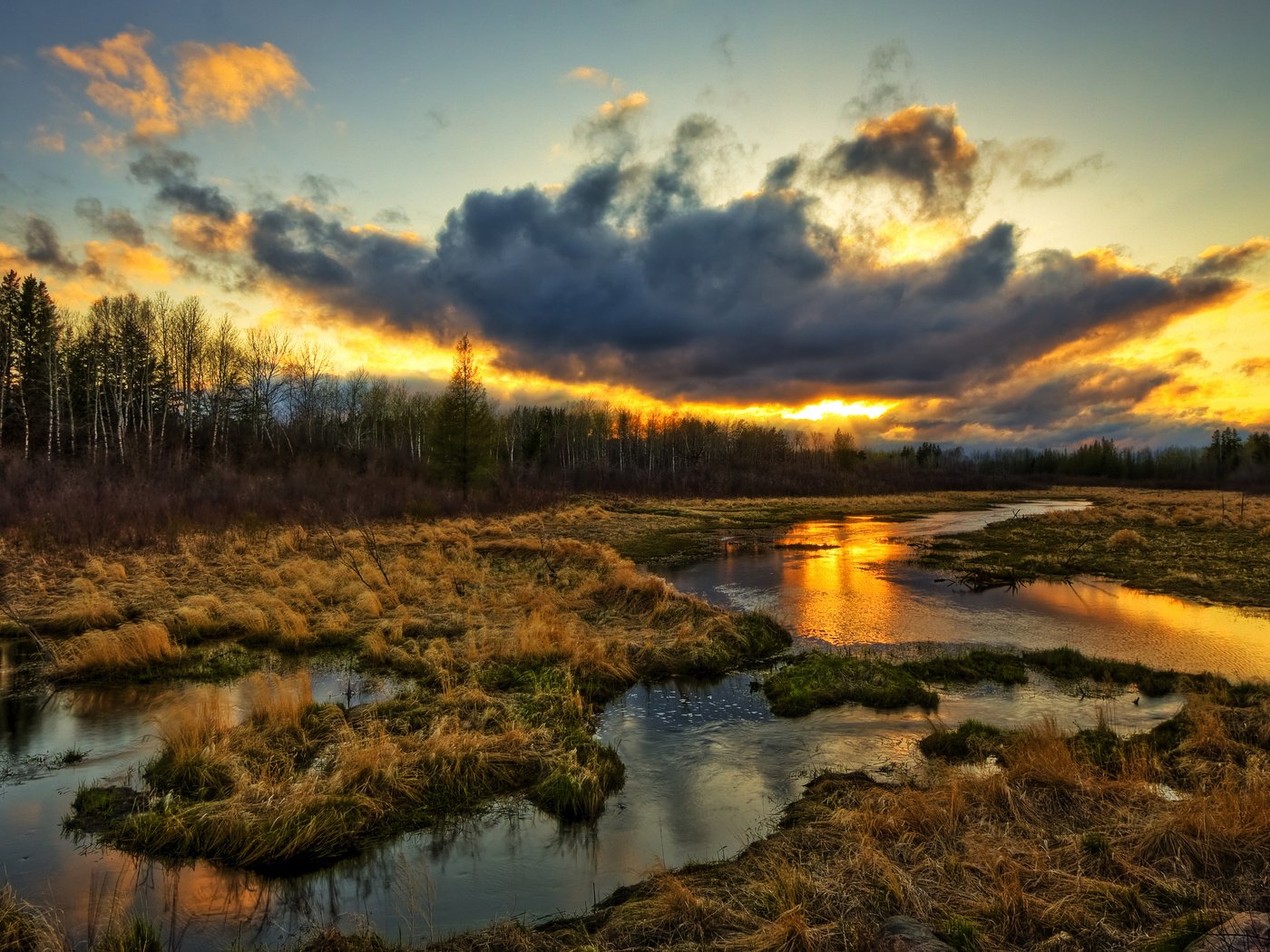 Обои трава, природа, болото, закат, тучи, grass, nature, swamp, sunset, clouds разрешение 2560x1600 Загрузить