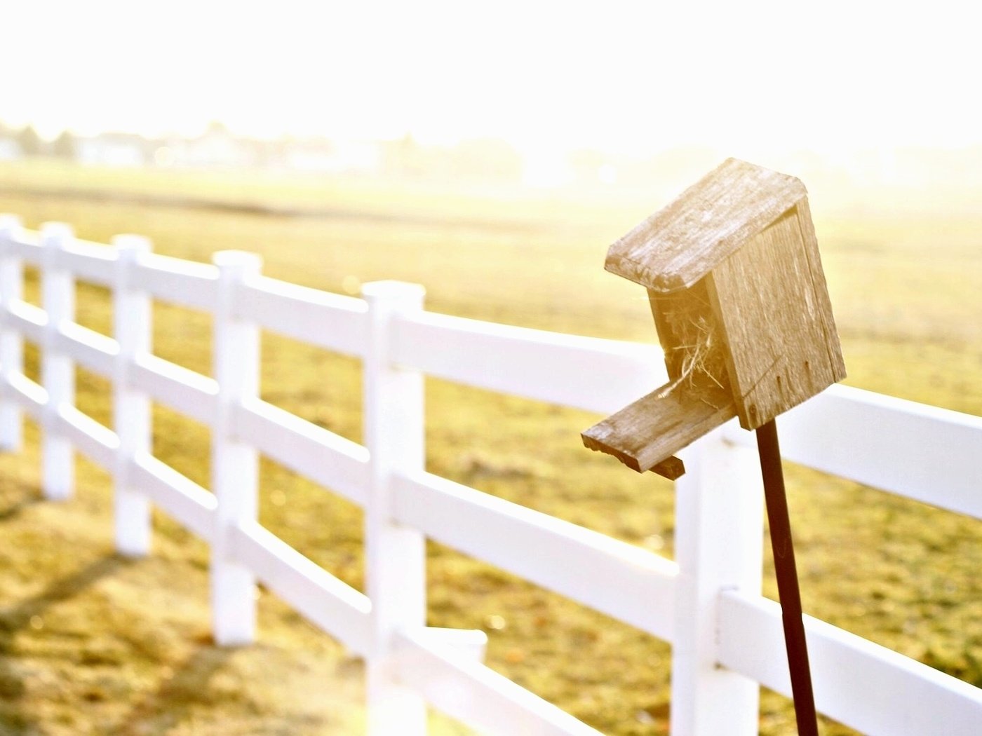 Обои природа, поле, забор, ограда, nature, field, the fence, fence разрешение 1920x1200 Загрузить