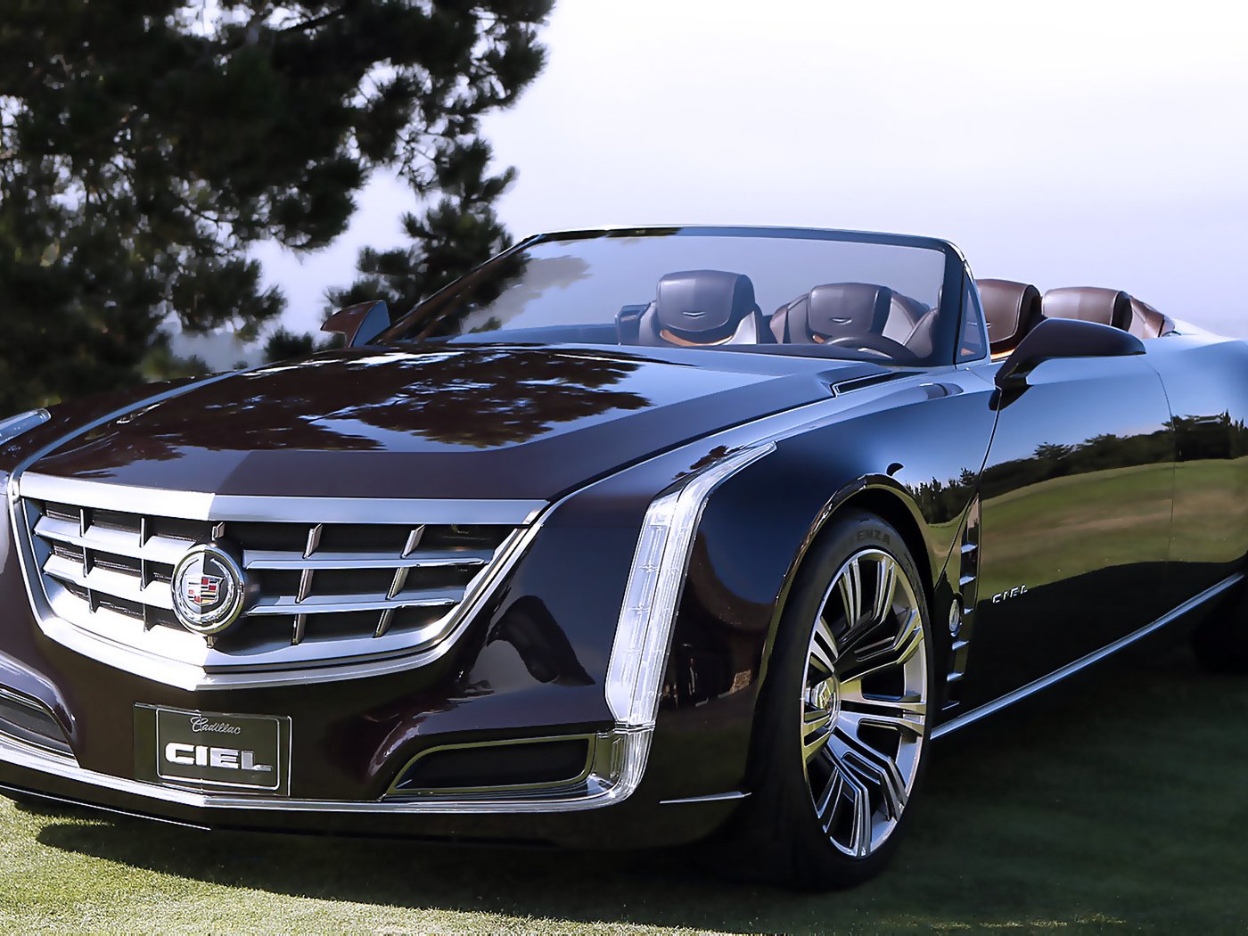 Обои небо, трава, авто, крутой, cadillac ciel cabrio, the sky, grass, auto, cool разрешение 1920x1200 Загрузить