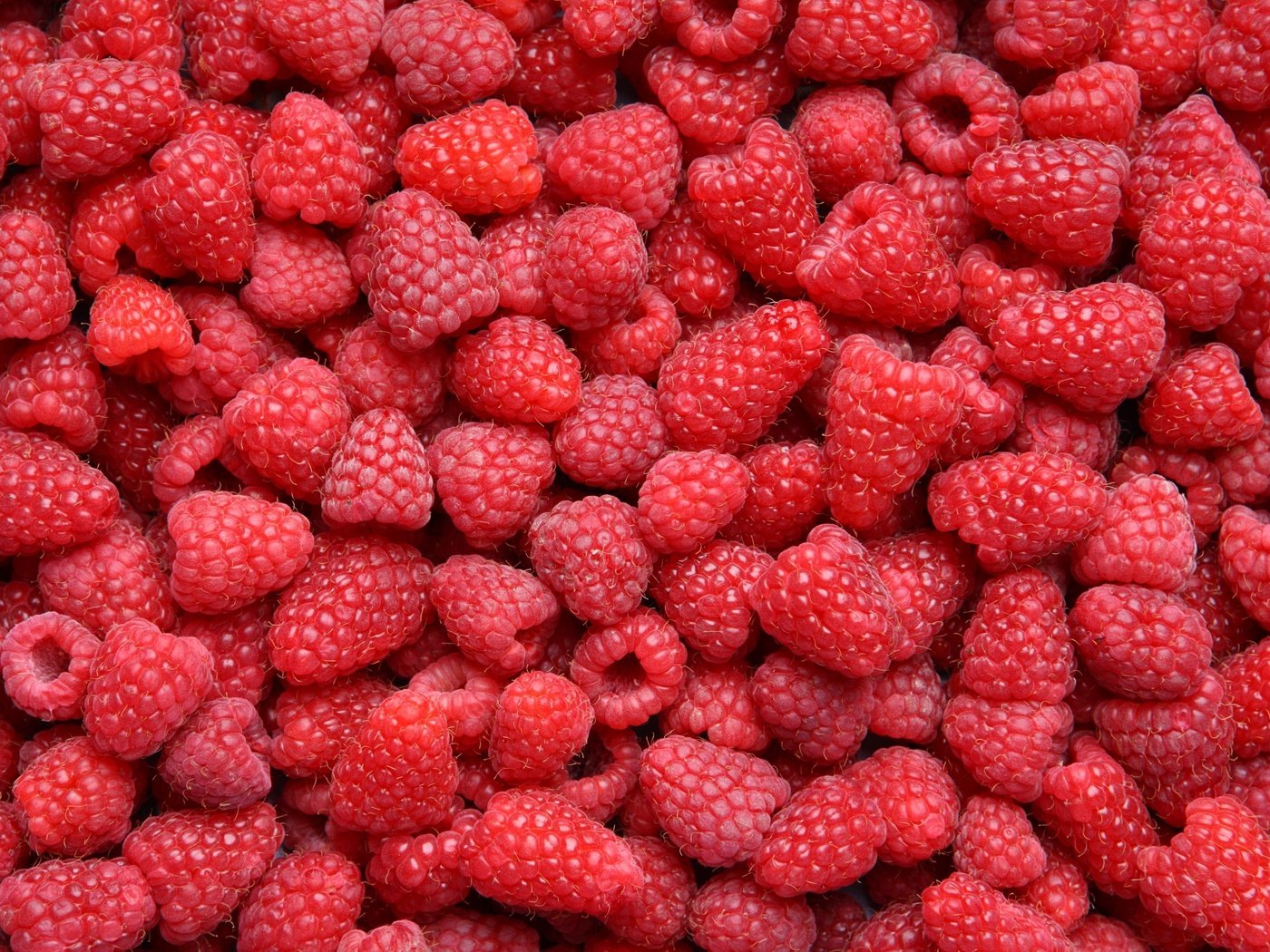 Обои малина, красная, ягоды, много, raspberry, red, berries, a lot разрешение 4600x3026 Загрузить