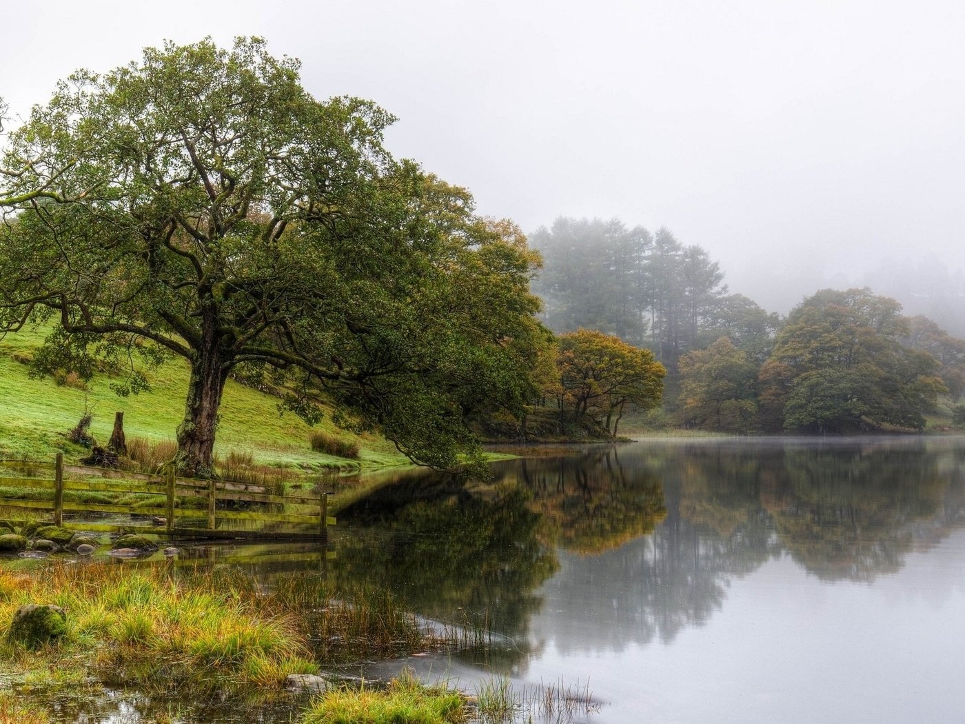 Обои озеро, природа, дерево, туман, lake, nature, tree, fog разрешение 1920x1200 Загрузить