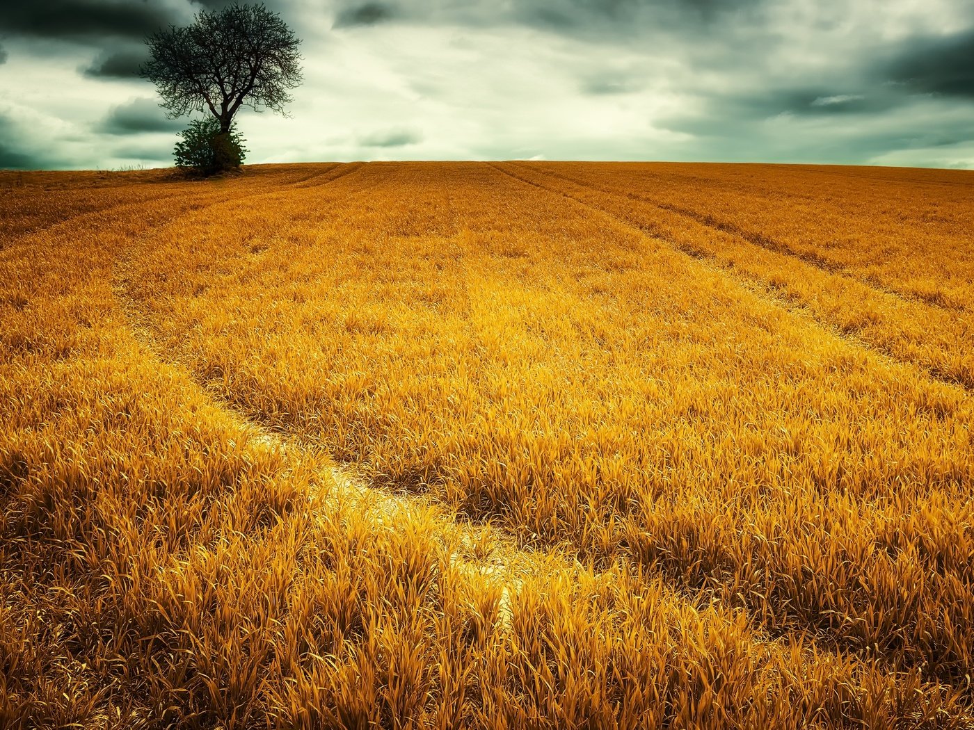 Обои небо, трава, облака, природа, дерево, пейзаж, поле, the sky, grass, clouds, nature, tree, landscape, field разрешение 2560x1587 Загрузить