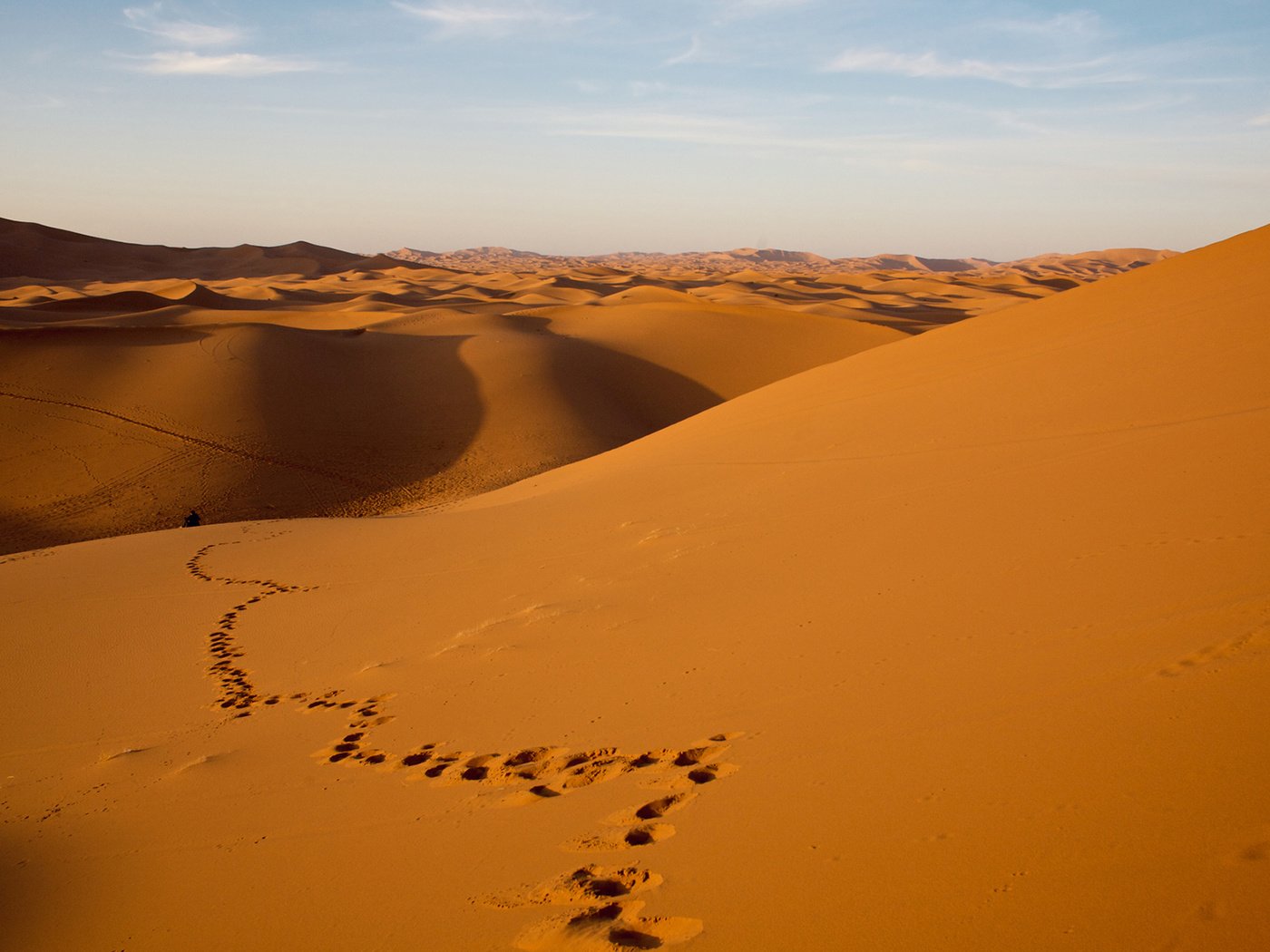 Обои природа, пейзаж, песок, пустыня, следы, дюны, nature, landscape, sand, desert, traces, dunes разрешение 1920x1200 Загрузить