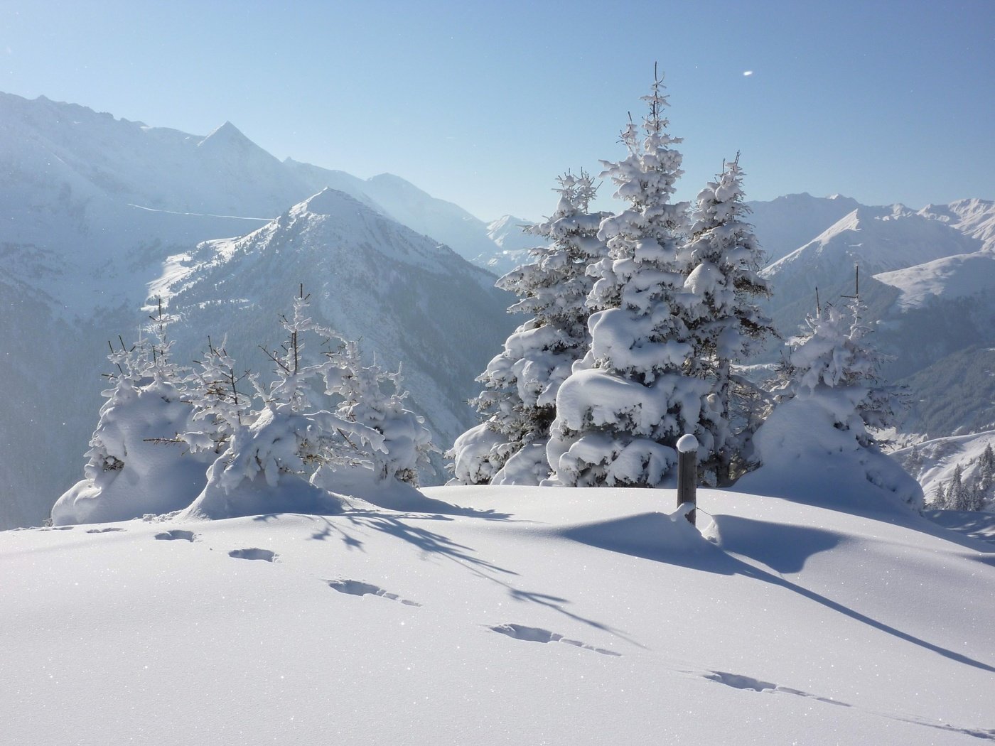 Обои деревья, горы, снег, природа, лес, зима, следы, trees, mountains, snow, nature, forest, winter, traces разрешение 2048x1536 Загрузить