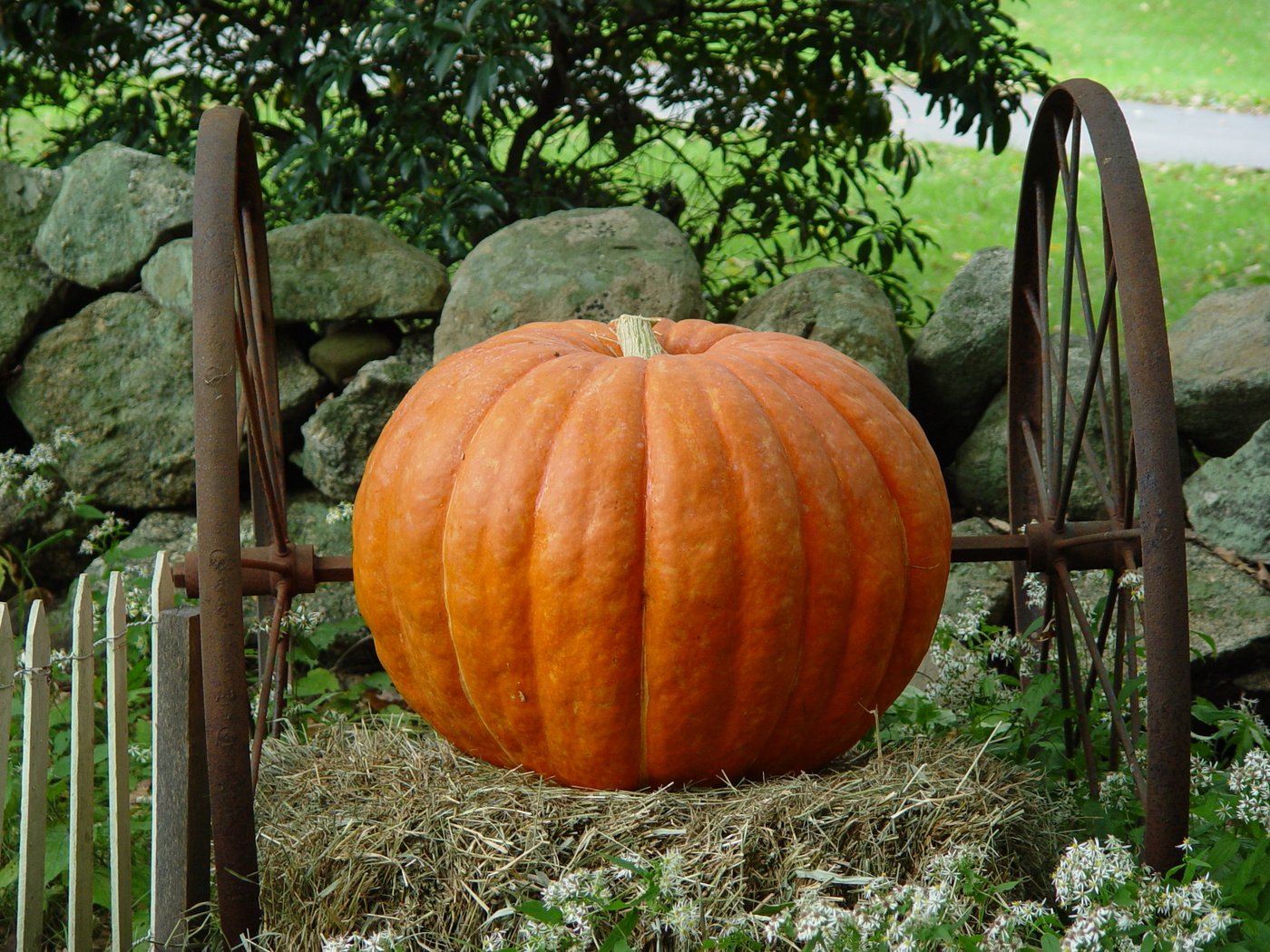 Обои камни, колеса, урожай, овощи, тыква, stones, wheel, harvest, vegetables, pumpkin разрешение 2560x1920 Загрузить