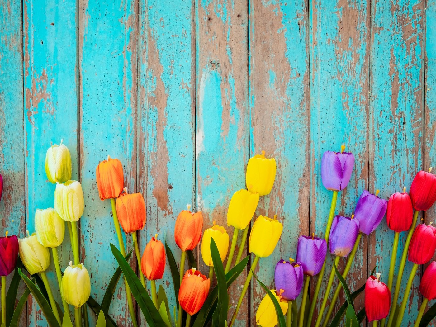 Обои доски, тюльпаны, board, tulips разрешение 6240x4160 Загрузить