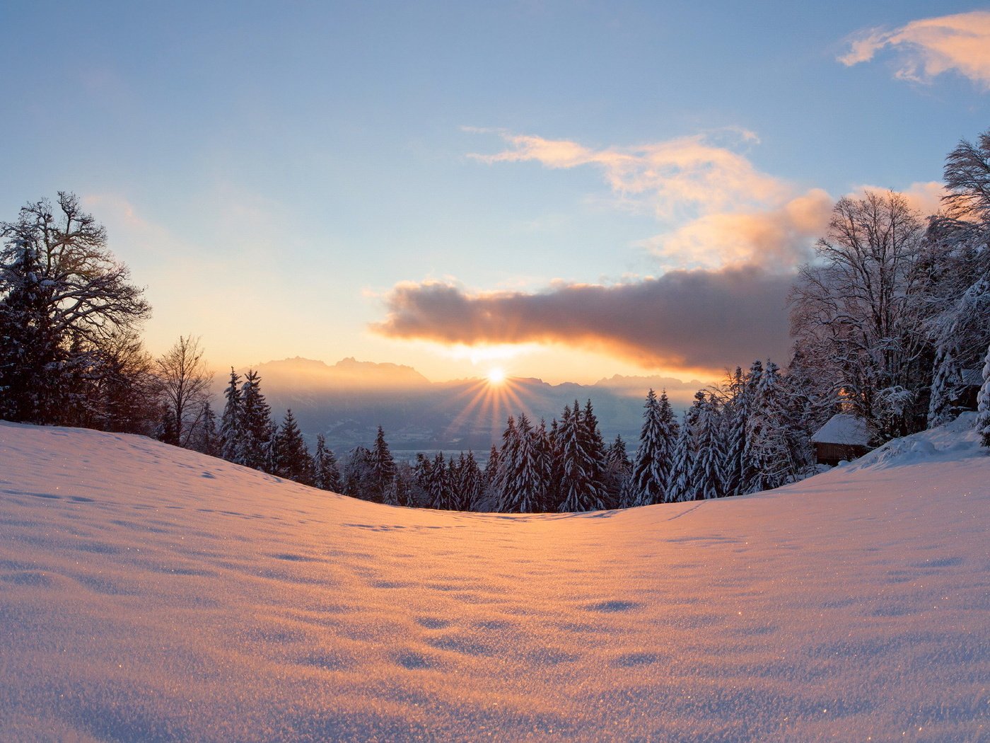 Обои свет, деревья, солнце, снег, лес, закат, зима, light, trees, the sun, snow, forest, sunset, winter разрешение 2048x1152 Загрузить