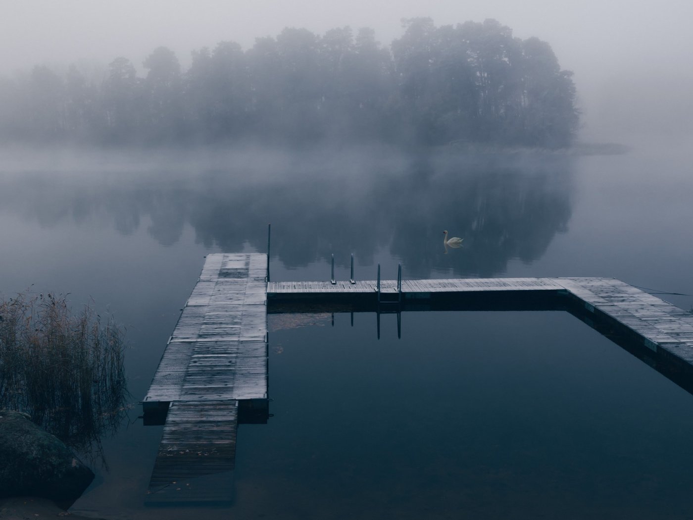 Обои озеро, туман, причал, лебедь, lake, fog, pier, swan разрешение 2112x1188 Загрузить