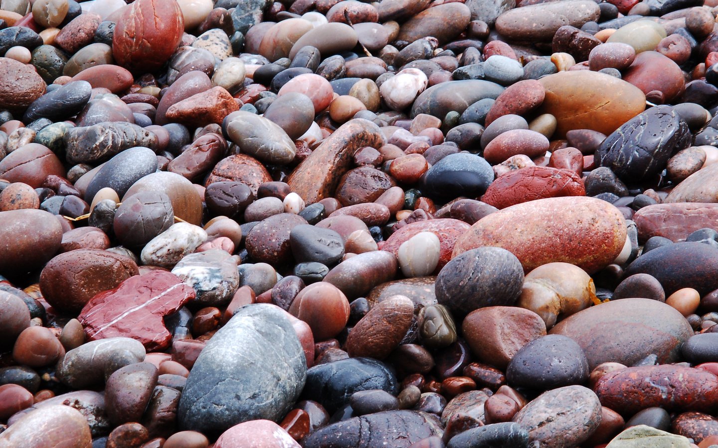 Обои камни, галька, пляж, мока, мокрые, stones, pebbles, beach, moka, wet разрешение 2551x1807 Загрузить