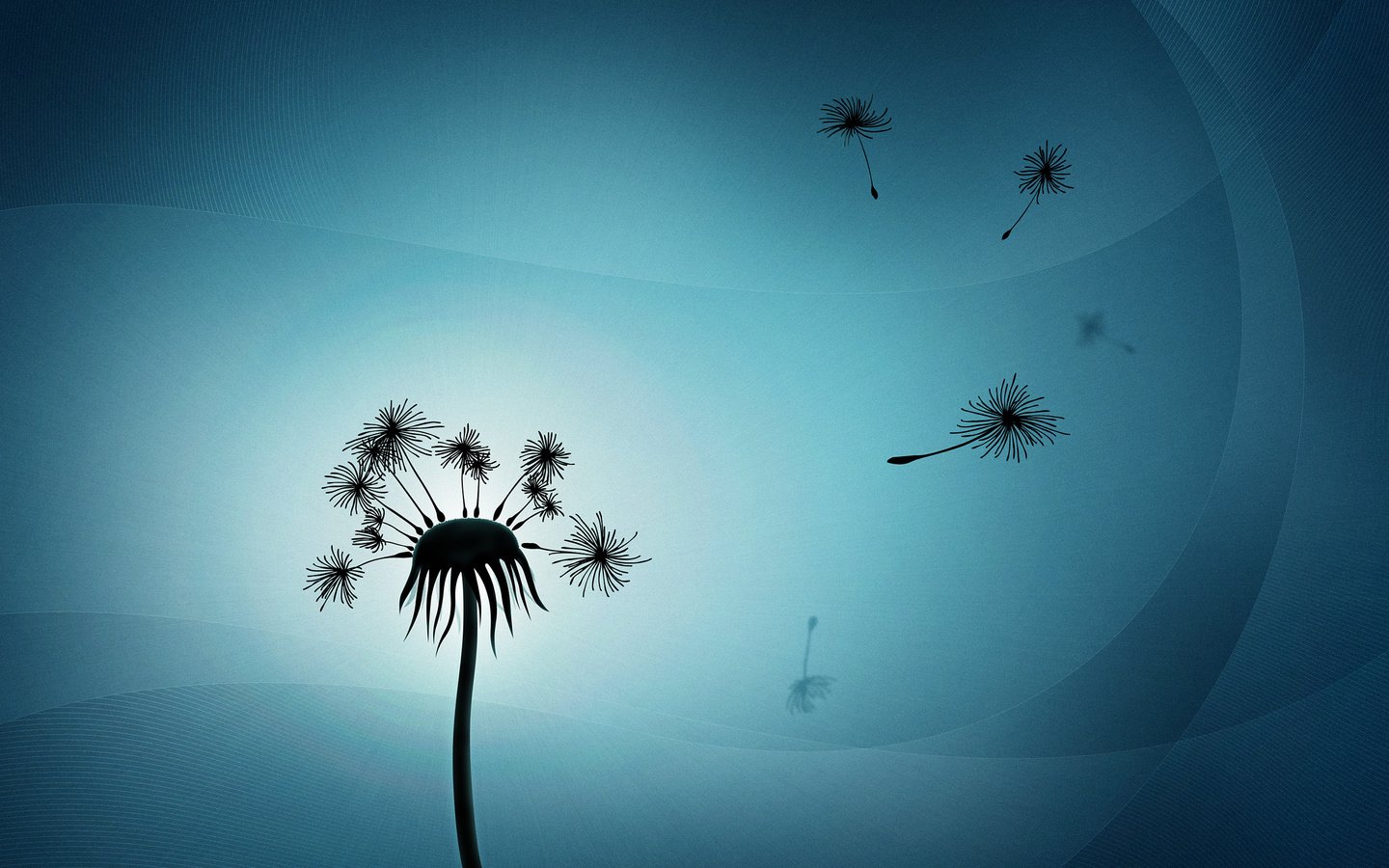 Обои свет, минимализм, одуванчик, пух, light, minimalism, dandelion, fluff разрешение 2560x1600 Загрузить