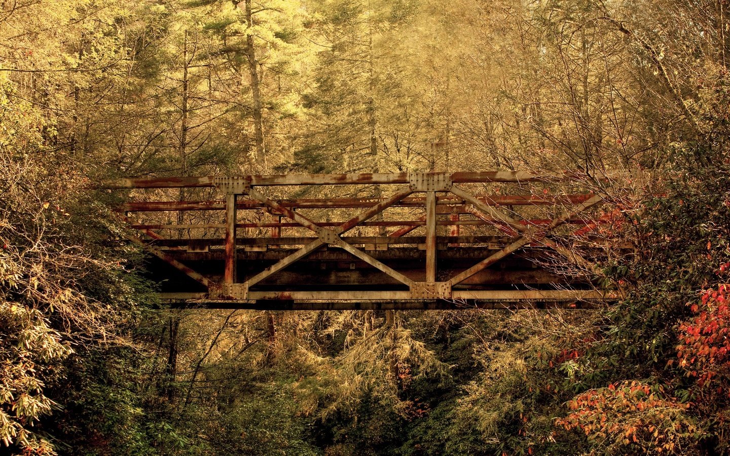 Обои лес, листья, мост, осень, южная каролина, forest, leaves, bridge, autumn, south carolina разрешение 2560x1600 Загрузить