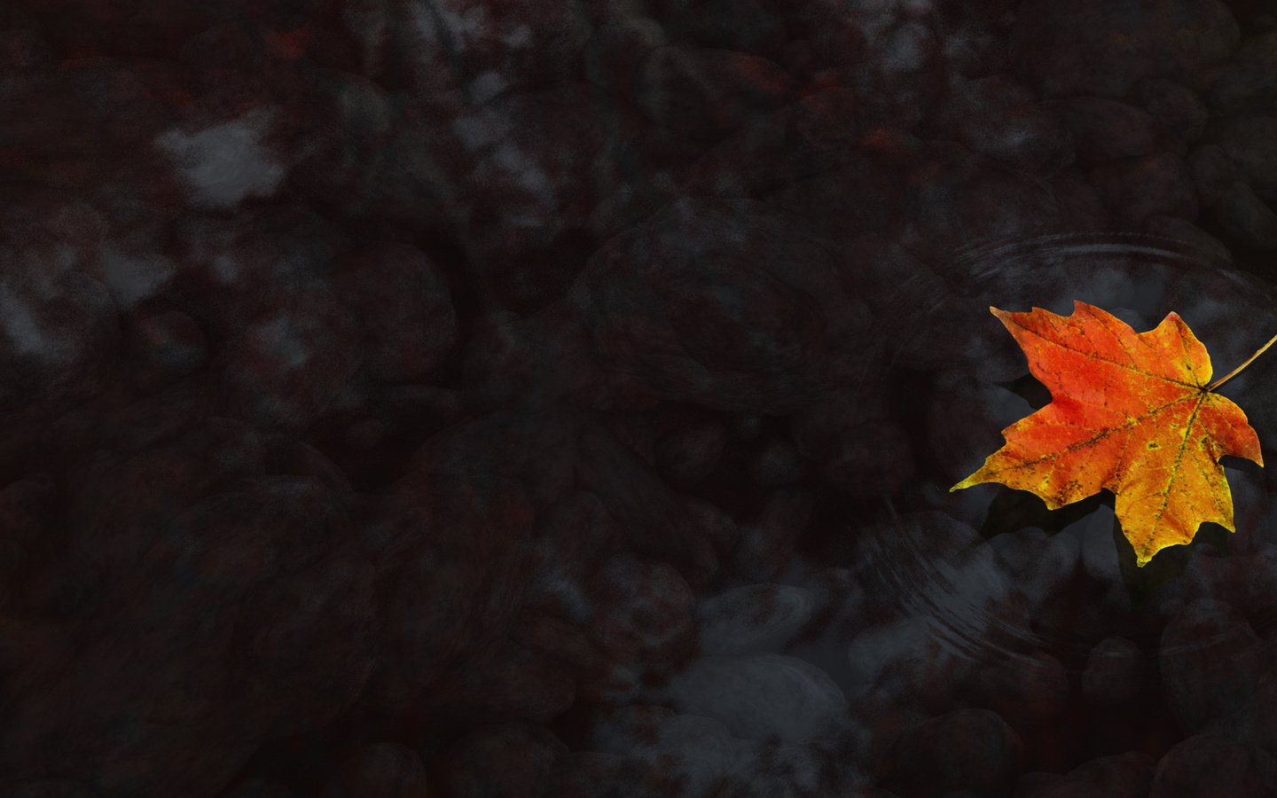 Обои вода, осень, клен, кленовый лист, water, autumn, maple, maple leaf разрешение 3840x1200 Загрузить