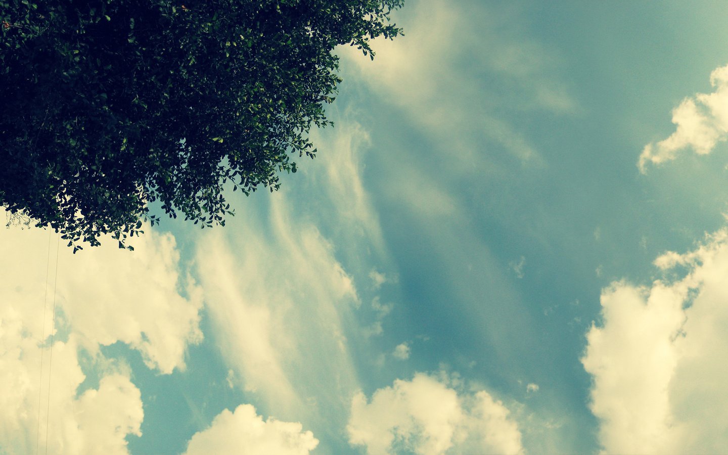 Обои небо, свет, облака, дерево, the sky, light, clouds, tree разрешение 1920x1080 Загрузить