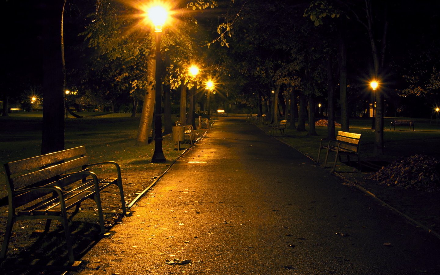 Обои ночь, фонари, парк, скамейка, аллея, night, lights, park, bench, alley разрешение 1920x1200 Загрузить