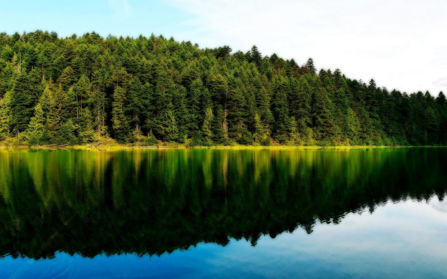 Обои озеро, природа, лес, отражение леса и неба, lake, nature, forest, reflection of forest and sky разрешение 1920x1080 Загрузить