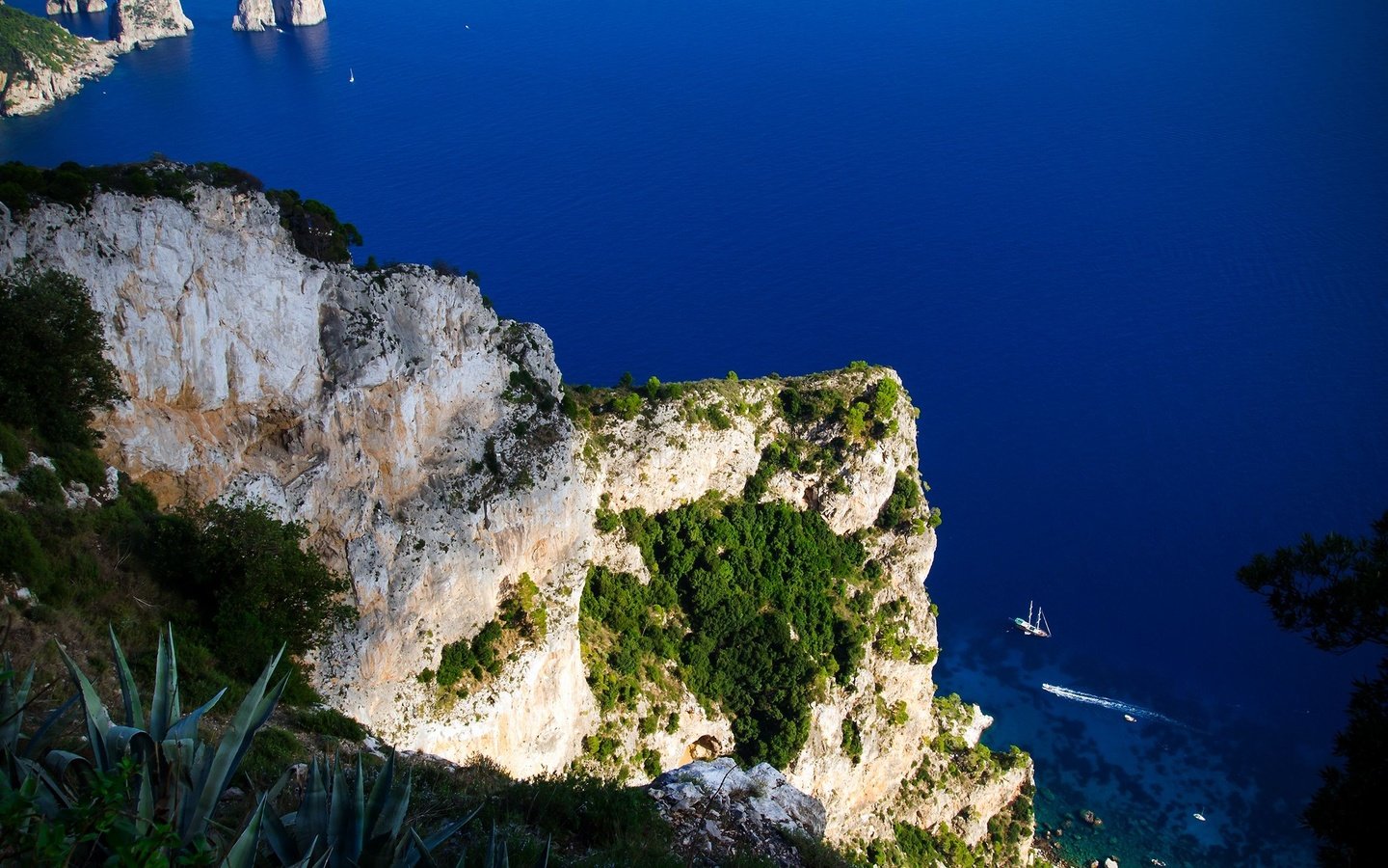 Обои скалы, море, вид сверху, италия, обрыв, остров, мыс, капри, rocks, sea, the view from the top, italy, open, island, cape, capri разрешение 2560x1440 Загрузить