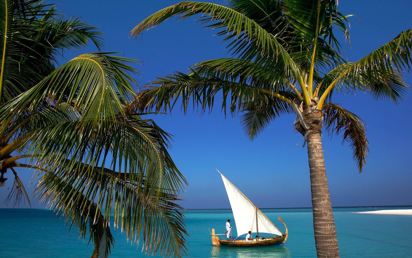 Обои лодка, тропики, мальдивы, boat, tropics, the maldives разрешение 2500x1667 Загрузить