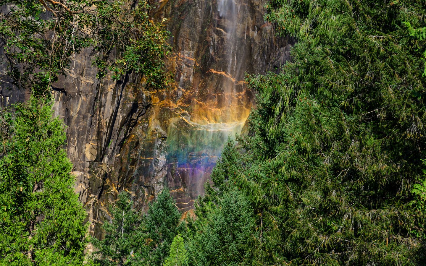 Обои лес, скала, водопад, радуга, йосемитский национальный парк, forest, rock, waterfall, rainbow, yosemite national park разрешение 2048x1152 Загрузить