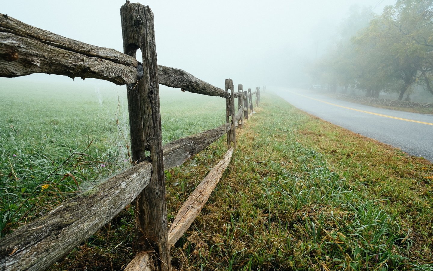 Обои дорога, природа, туман, забор, road, nature, fog, the fence разрешение 2560x1600 Загрузить