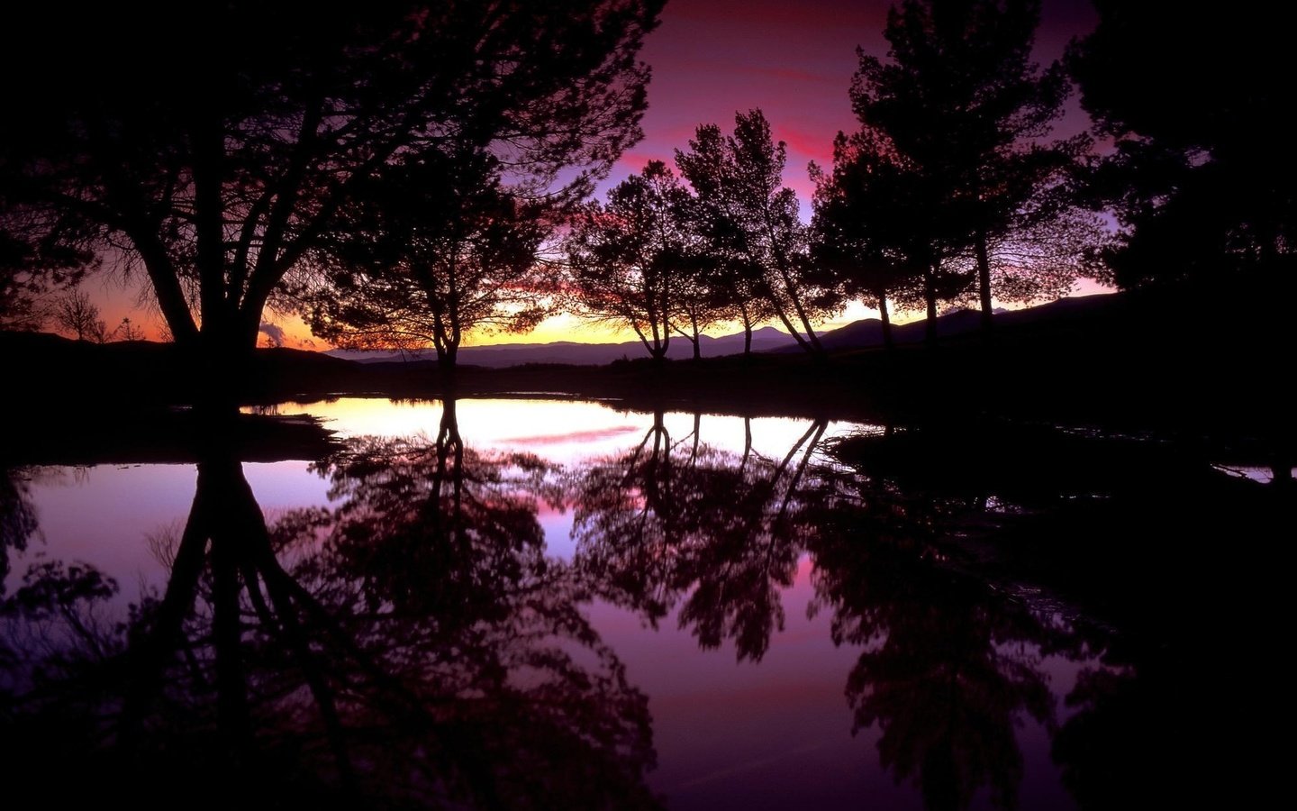 Обои деревья, вода, вечер, озеро, закат, отражение, силуэты, trees, water, the evening, lake, sunset, reflection, silhouettes разрешение 1920x1200 Загрузить