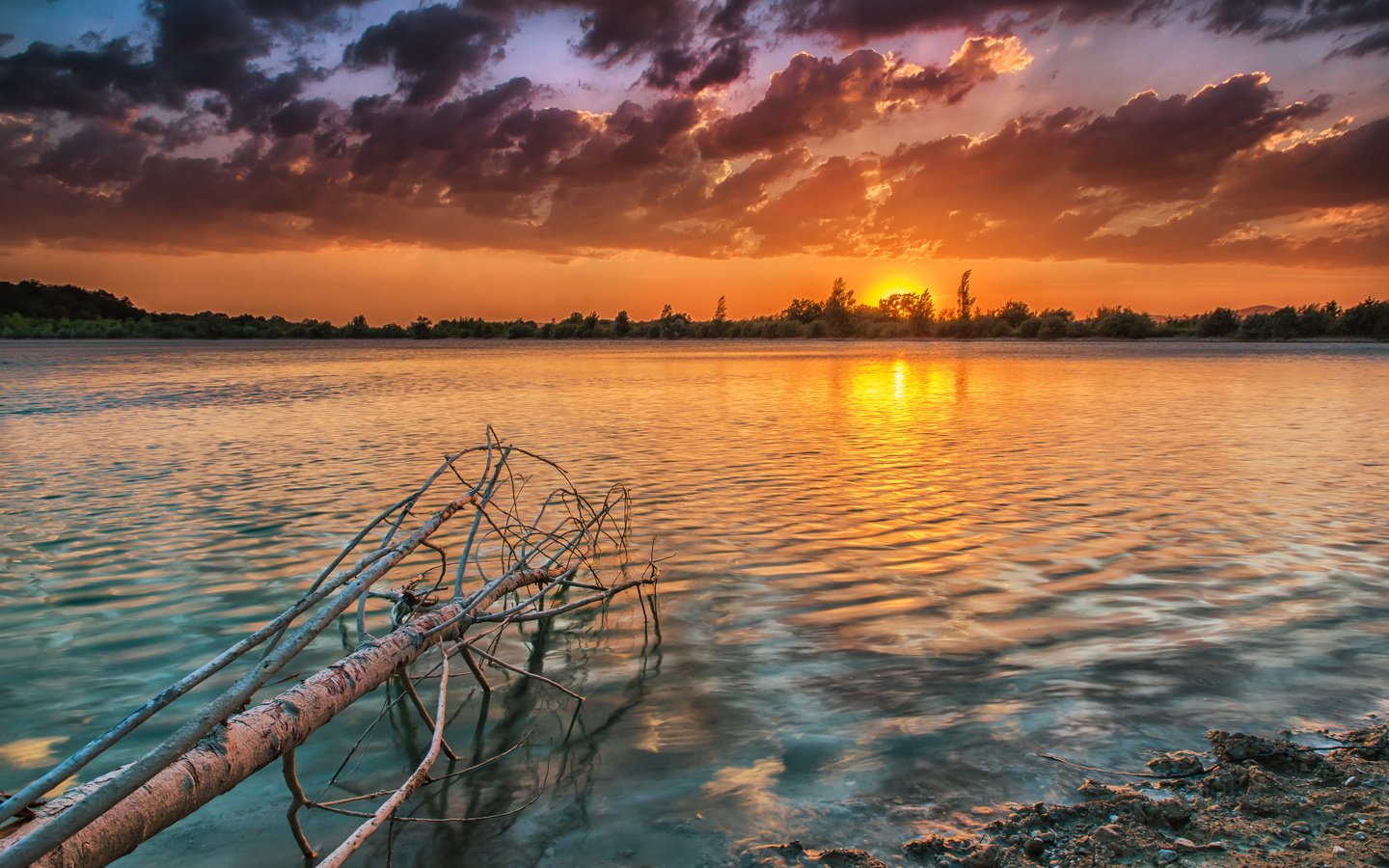 Обои небо, облака, река, природа, дерево, закат, пейзаж, горизонт, the sky, clouds, river, nature, tree, sunset, landscape, horizon разрешение 2560x1605 Загрузить