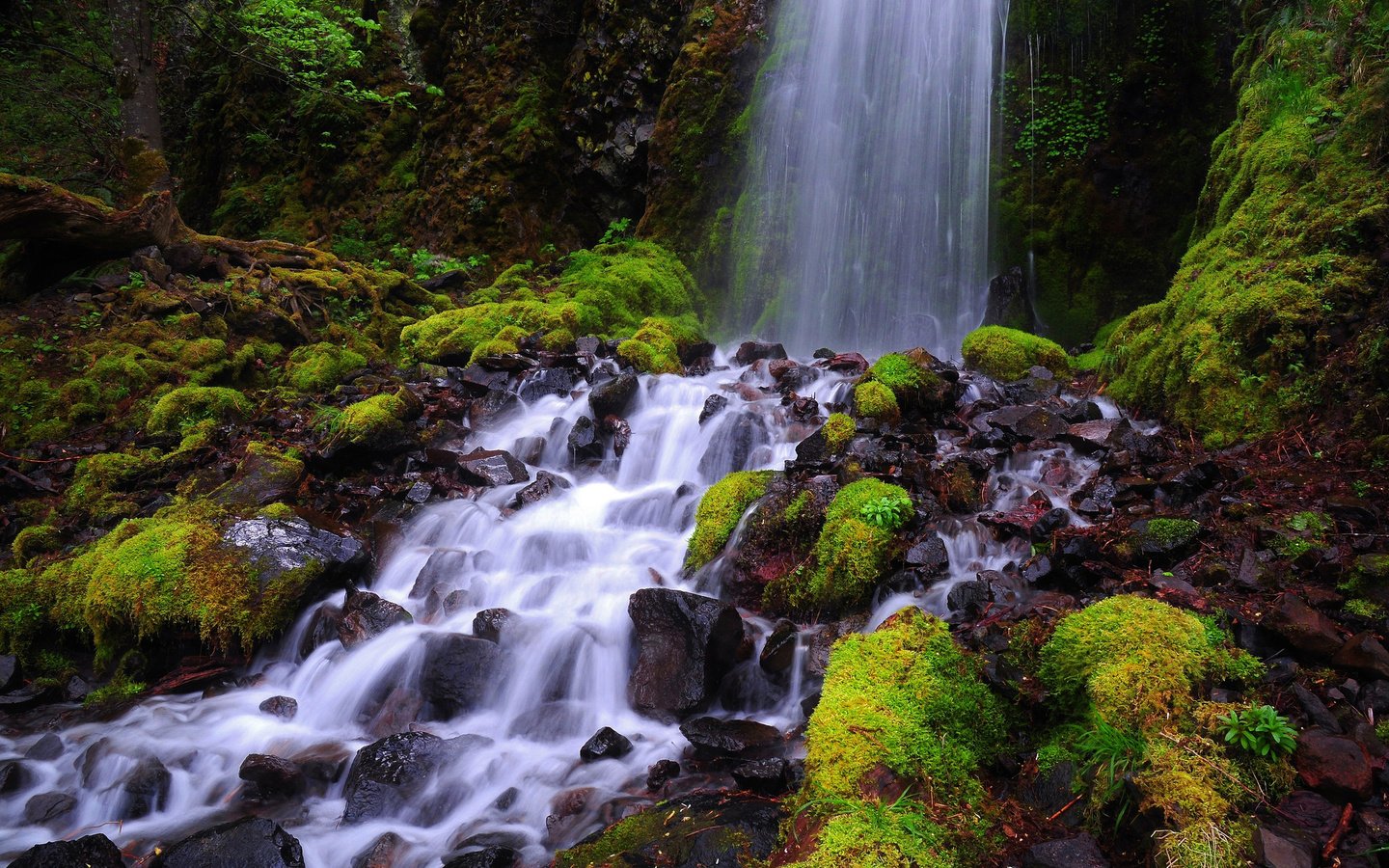 Обои природа, камни, водопад, мох, nature, stones, waterfall, moss разрешение 2048x1360 Загрузить