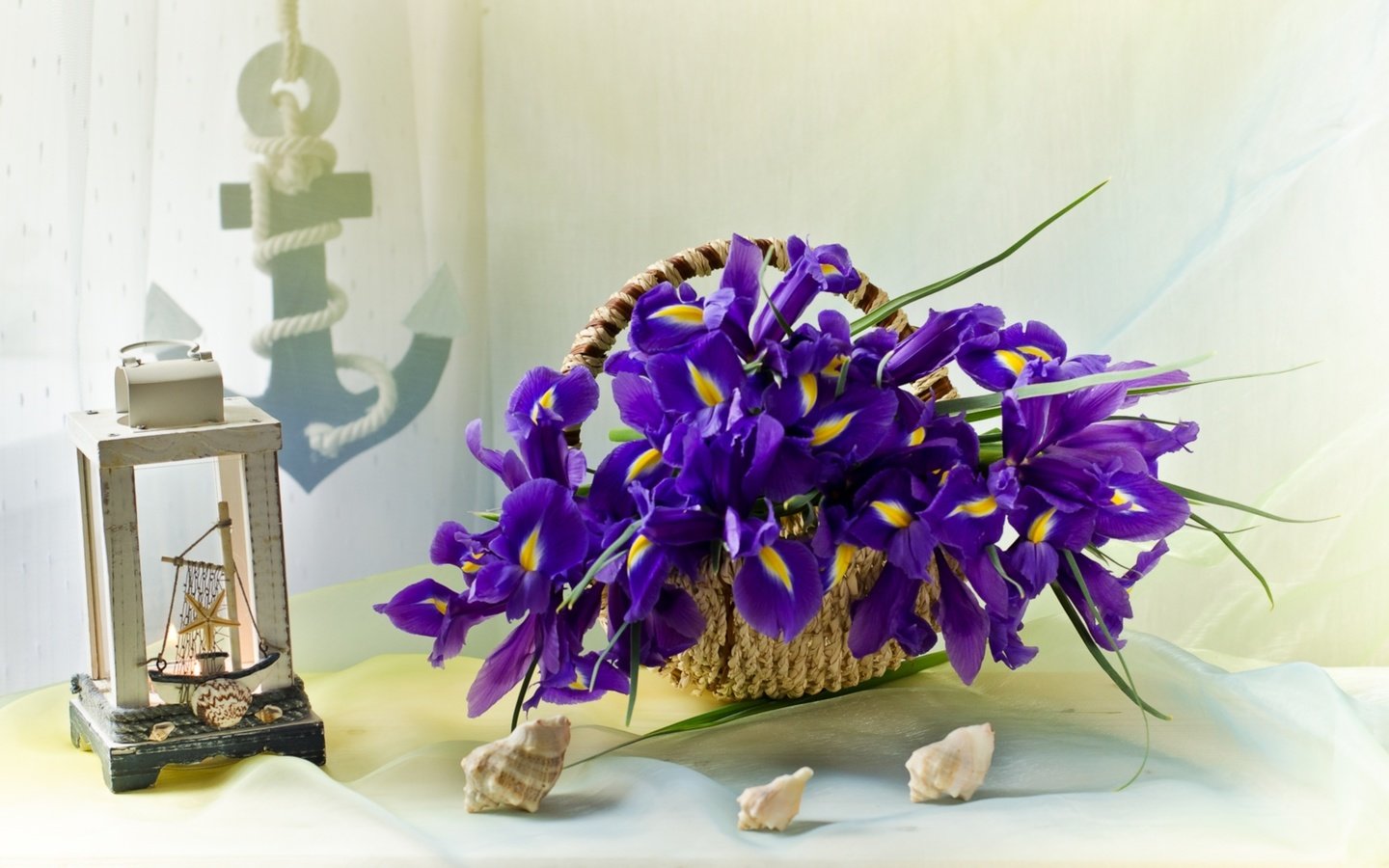 Обои ракушки, корзинка, ирисы, якорь, shell, basket, irises, anchor разрешение 1920x1263 Загрузить